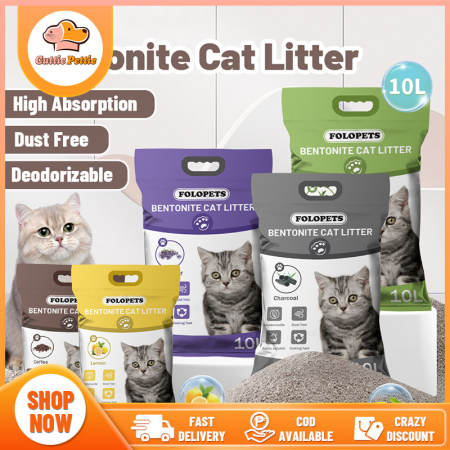 磊 Top 10 | Best Cat Litters of 2024