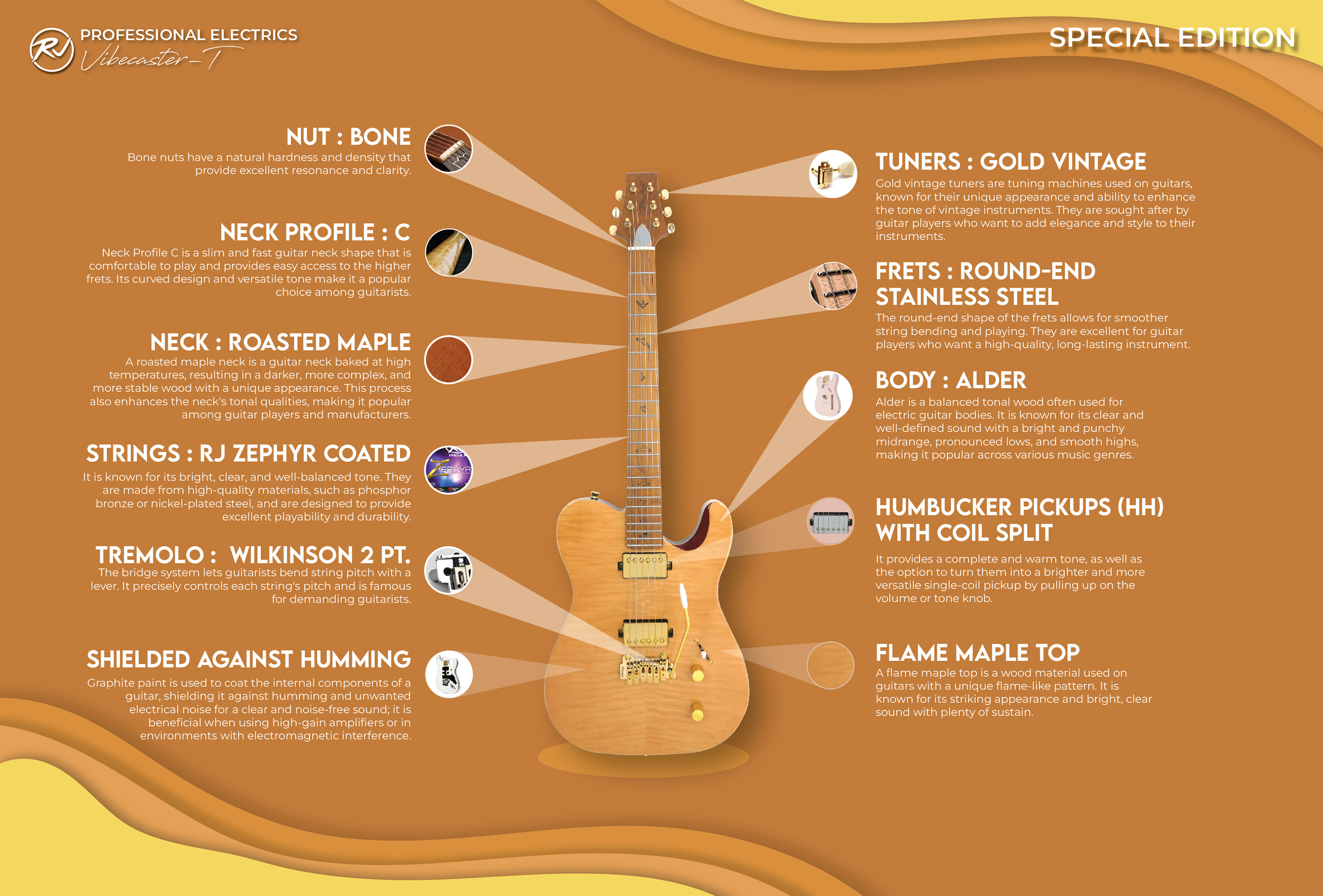 RJ Professional Electrics Vibecaster T (T-Style Body