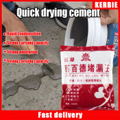 1KG Quick-Dry Waterproof Cement - Kalis Air