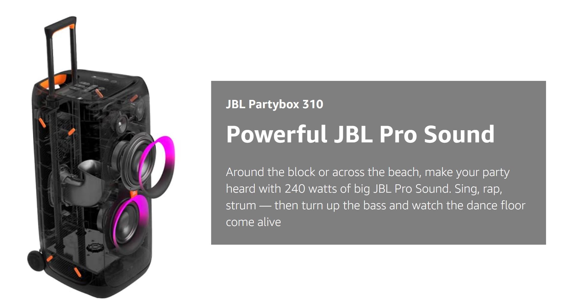JBL Partybox 310 Bluetooth Speaker