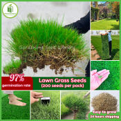 Bermuda Grass Seeds for Easy, High-Quality Lawn Growth