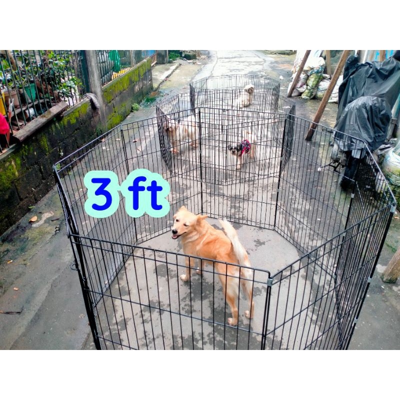 Cartimar dog outlet cage