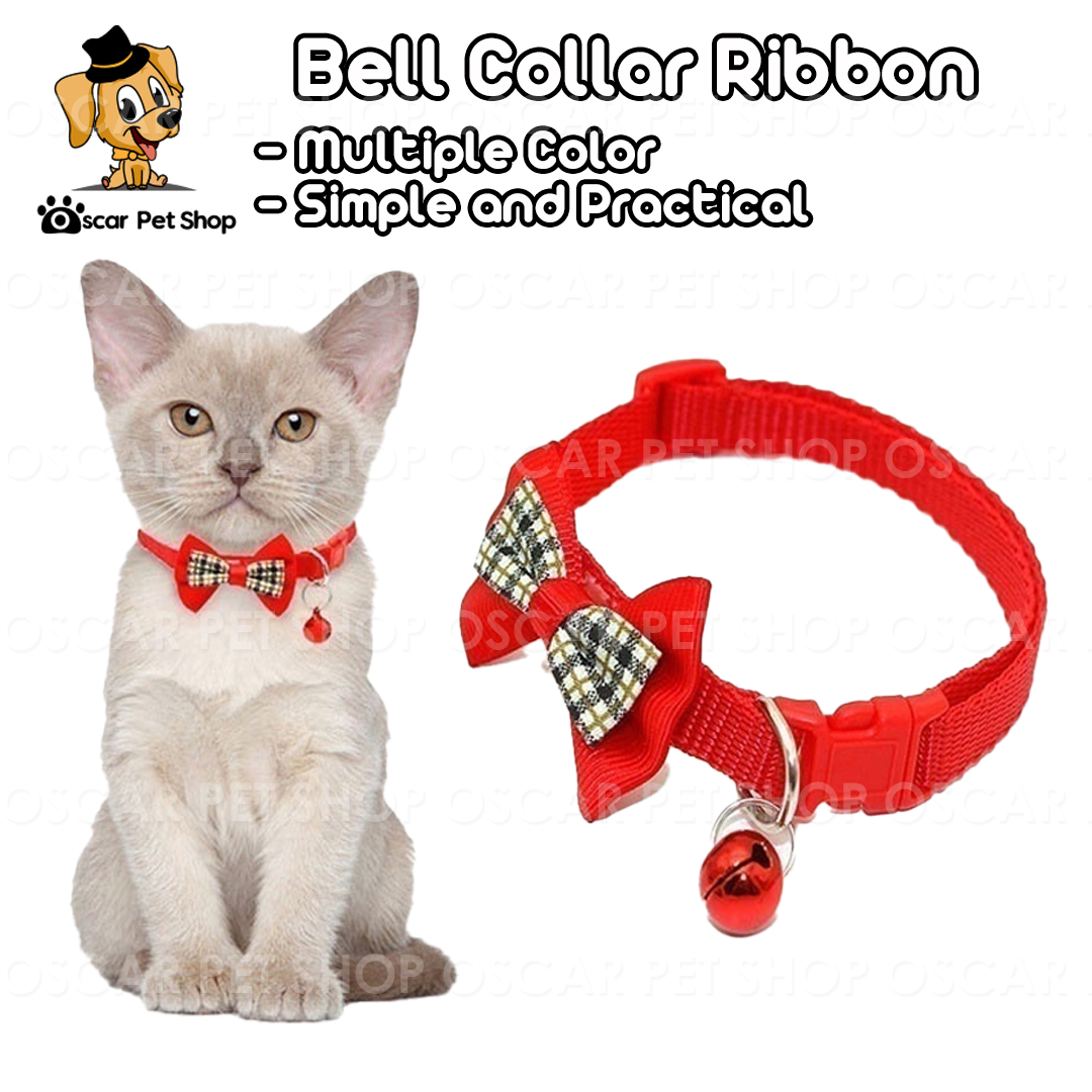 buy-ribbon-for-big-dogs-online-lazada-ph