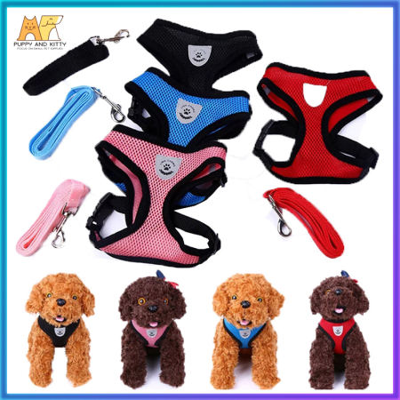 Adjustable Pet Leash Set with Mesh Collar - 