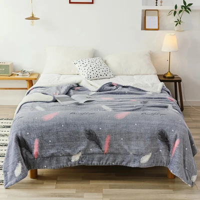 Mini Home Textiles Double Layers Smooth As Milk Blanket Throw Plush Warm Sleeping Blanket for Autumn Winter Blanket (6)