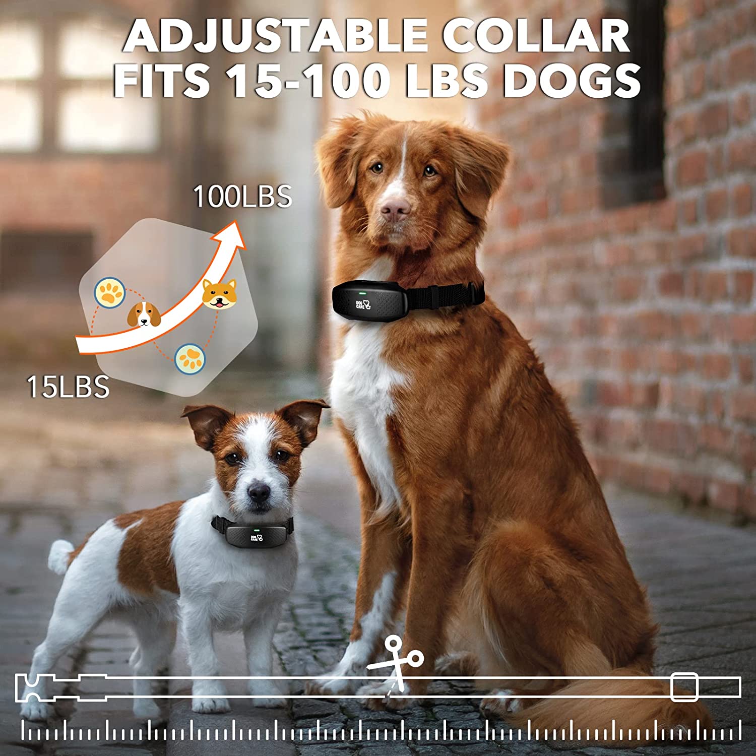 Tc05 dog best sale training collar