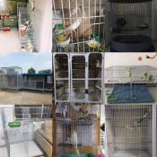 "SecureMesh Pigeon Loft & Animal Cage Netting"