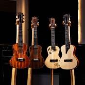 Sqoe Ukulele with pick up and Pre Amp with Freenies