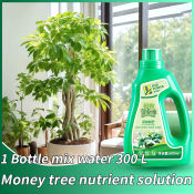 liquid fertilizer 600ml money tree plant