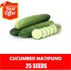 Cucumber Matipuno - Cucumber Seeds