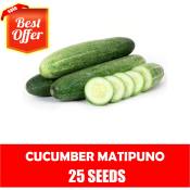 Cucumber Matipuno - Cucumber Seeds
