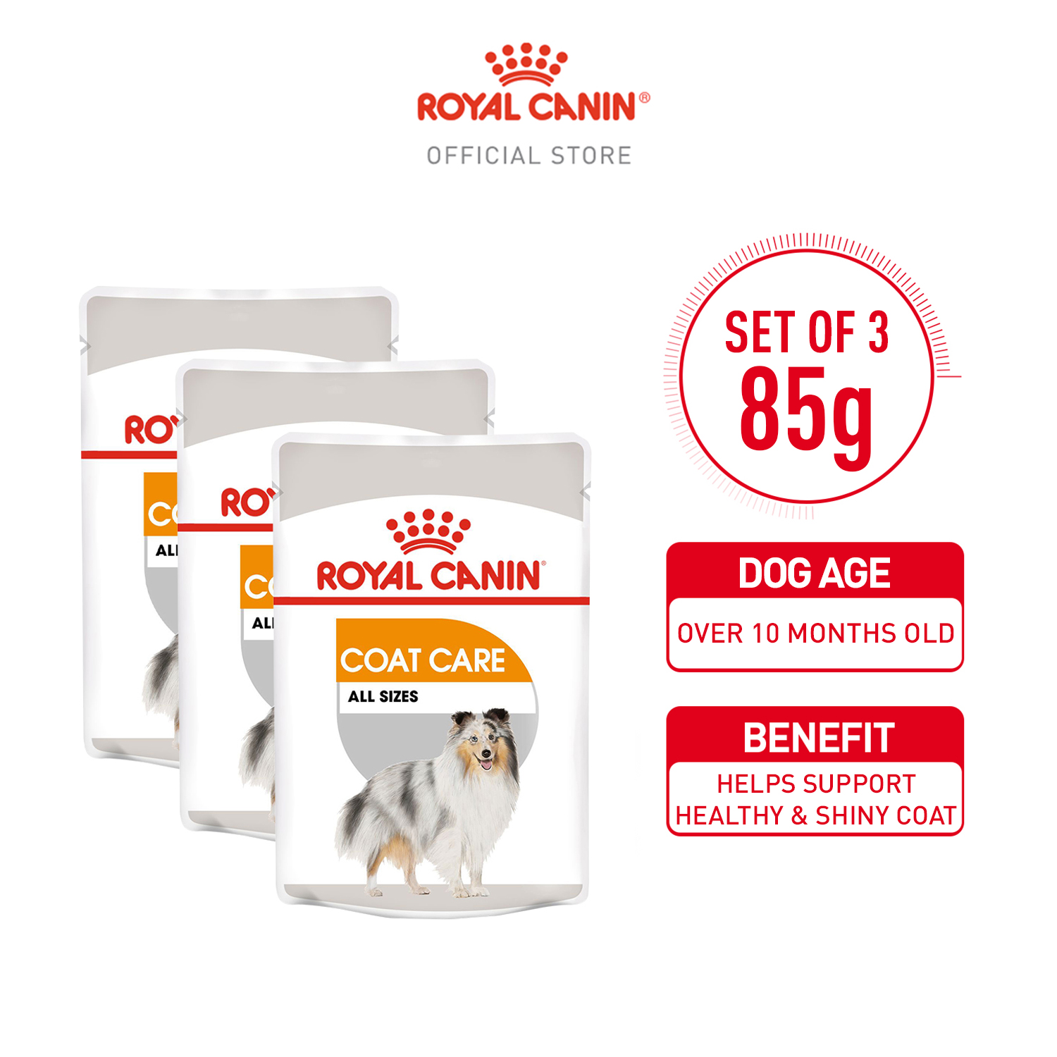 Royal canin best sale coat care