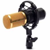 BM-800 Condenser Microphone with Shock Mount for Radio Broadcasting