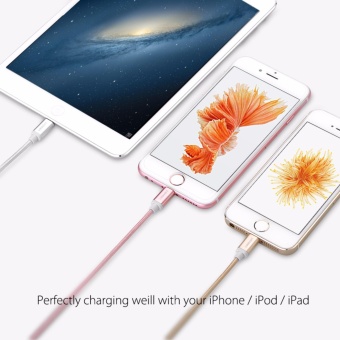 UGREEN Metal Alloy USB Lightning Cable USB Charger Cable NylonBradied Design For IPhone 4 5 6 7 IPad - Silver,1.5M - Intl June 2018 - 4 UGREEN Metal Alloy USB Lightning Cable USB Charger Cable NylonBradied Design for iPhone 4 5 6 7 iPad - Silver,1.5M - intl - 4