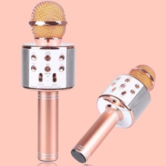 WS-858 Wireless Karaoke Bluetooth Microphone HIFI Speaker (Rose Gold) June 2018 - 4 WS-858 Wireless Karaoke Bluetooth Microphone HIFI Speaker (Rose Gold) - 4
