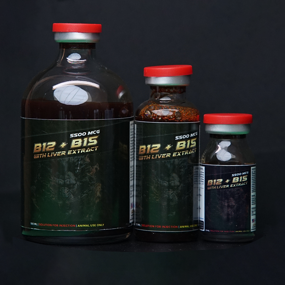 Shop Active X B12 B15 Injectable Cheap – Fast & Easy