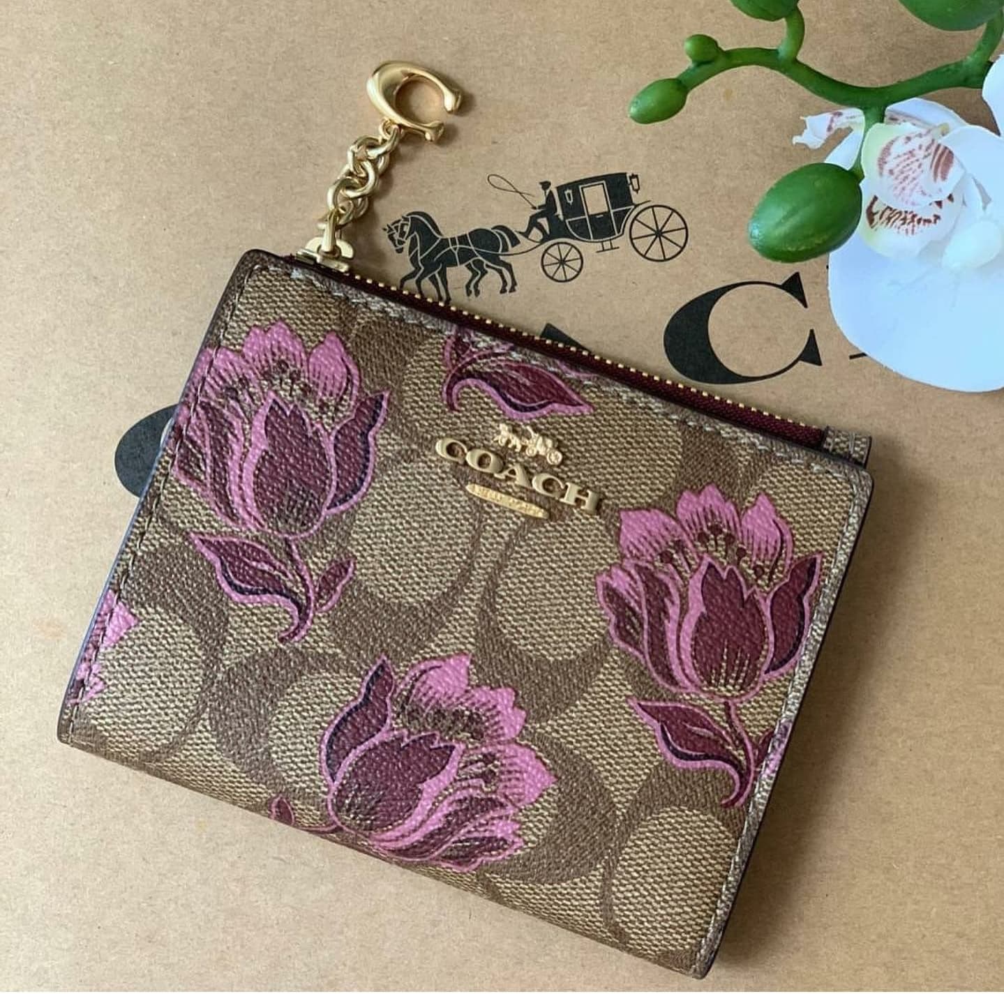 coach tulip wallet