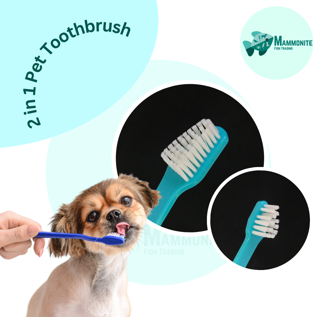 Canine toothbrush best sale