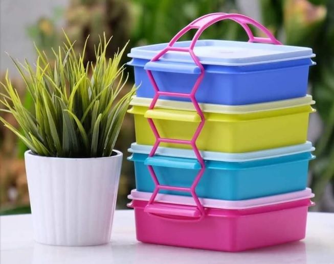 Ridhi Sidhi Tupperware Divided Duo 1 Containers Lunch Box 