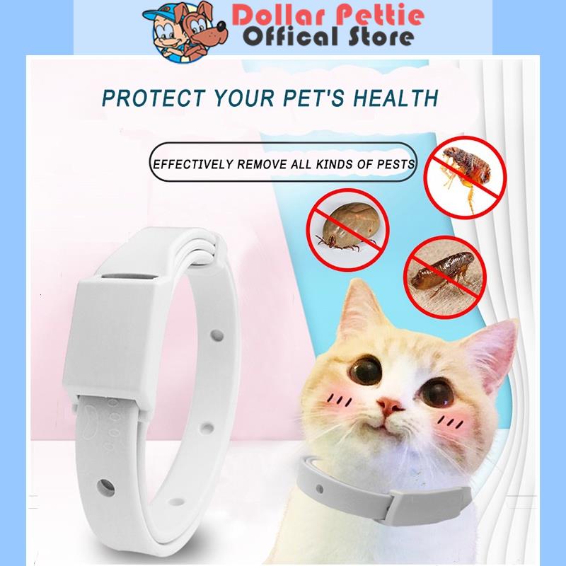 Cat flea 2024 collar dollar general