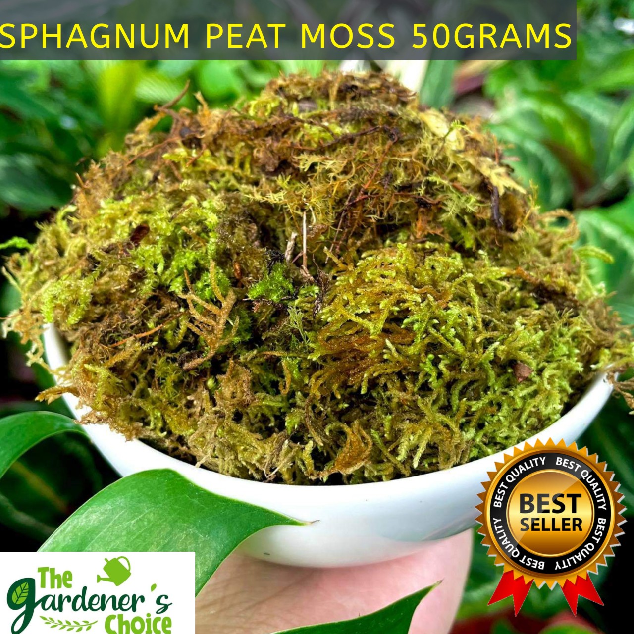 What's the Difference Between Sphagnum Moss vs Peat Moss? - Garden