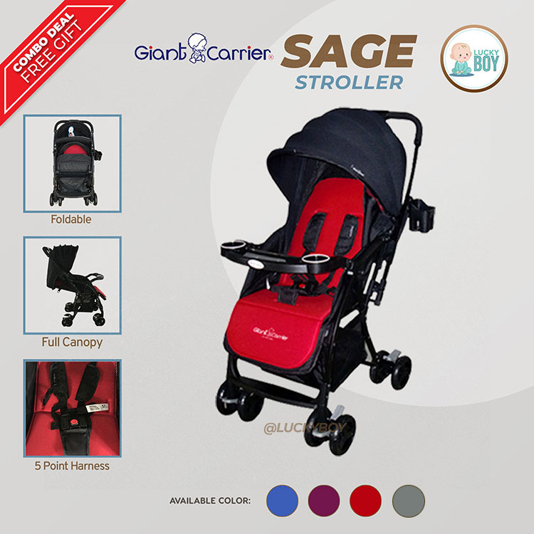 Giant carrier grayson on sale stroller