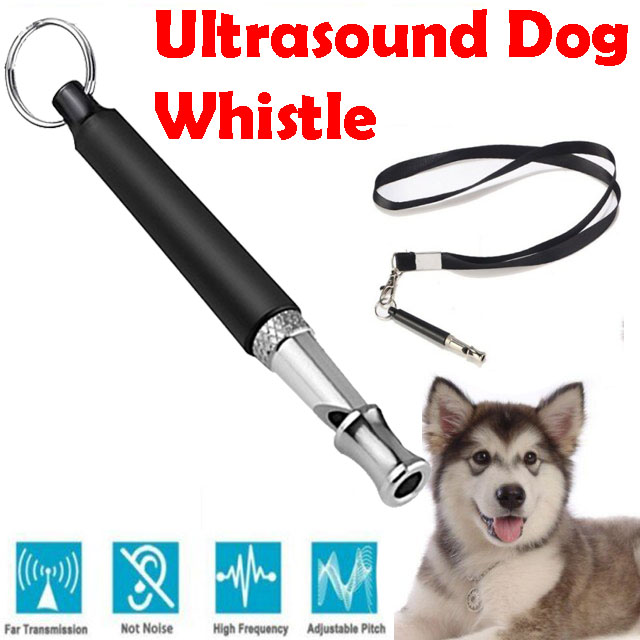 Are Dog Whistles Safe