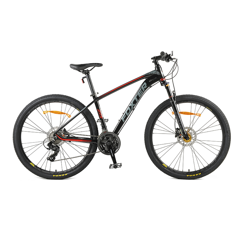 non gear fat bike