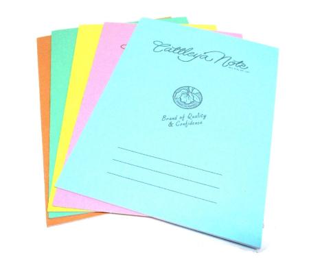 Cattleya Binder Fillers Big 7x10 pack of 5pcs