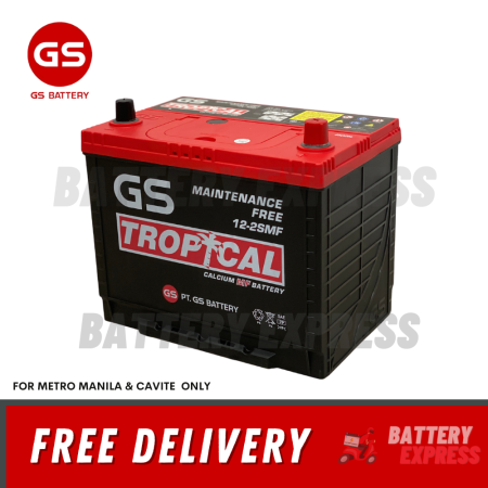 GS Battery NS40 1SN 2SM 3SM Maintenance Free - Tropical Car Battery Dbs