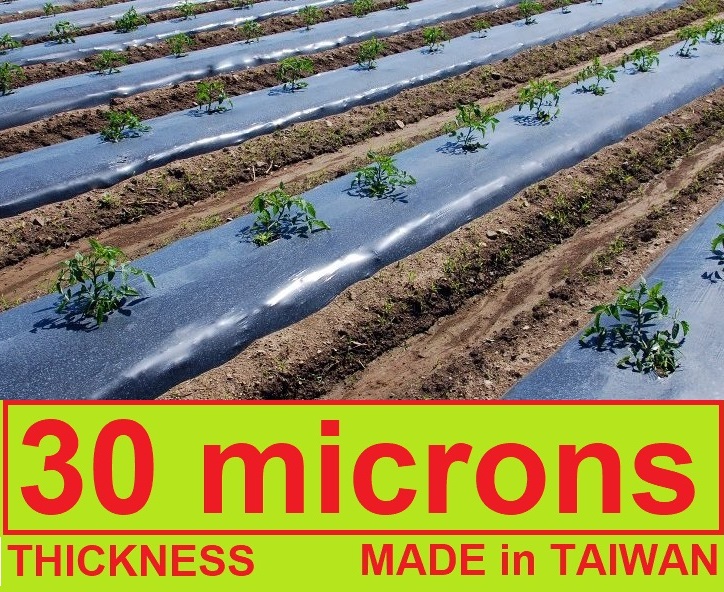 Shop Plastic Mulch 1.2m X 175m 30 Microns Heavy Weight Duty Plastic