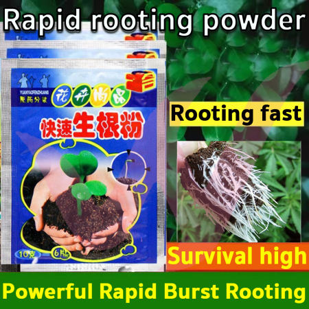 Rapid Rooting Powder for Improved Plant Growth and Survival