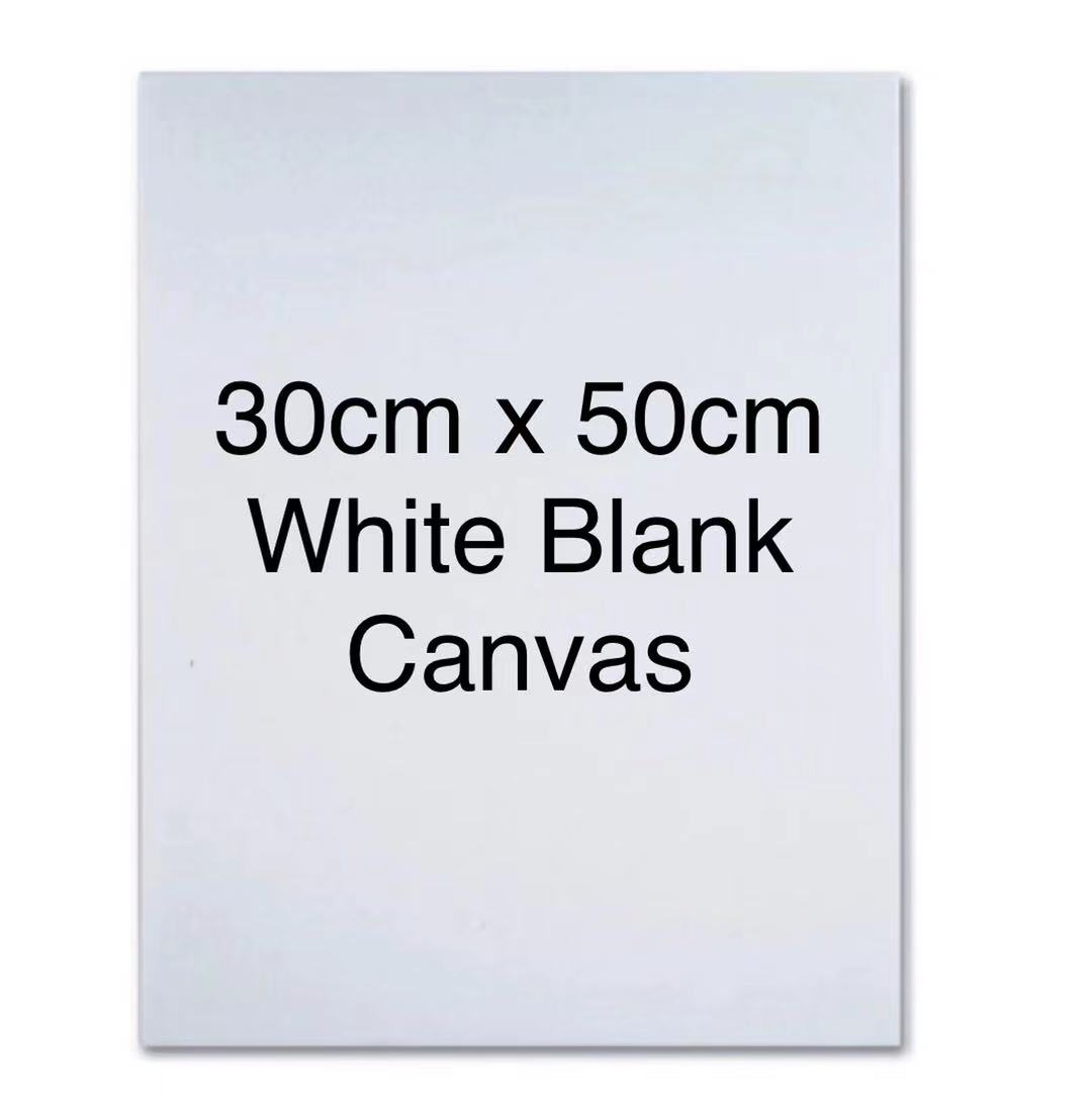 White Blank Square Canvas 30cm x 30cm Art Board Wooden Frame For