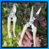 Stainless Steel Garden Scissors by Lucky Star