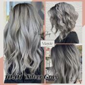 Bremod Silver Gray Hair Color Set with Oxidizer Cream