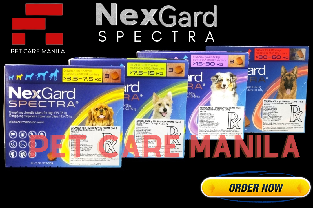 Amazon nexgard outlet spectra