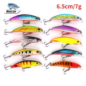 Sinking Minnow Fishing Lure by 