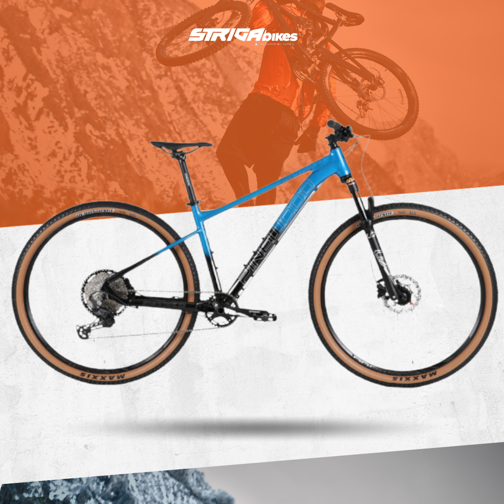 pinewood strive trail 29er