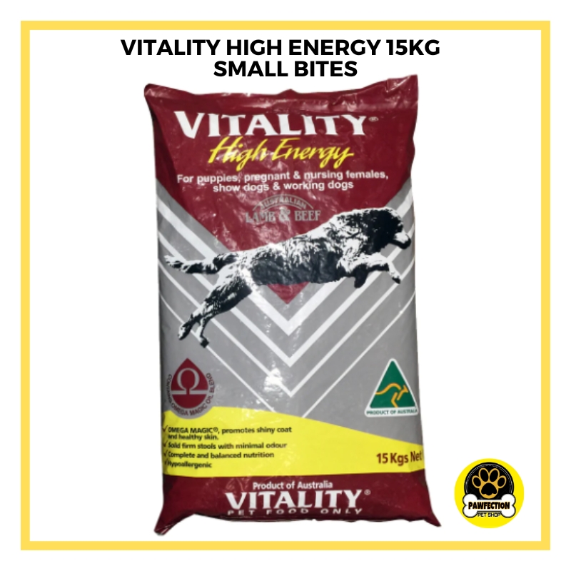 Vitality high 2025 energy puppy