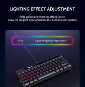 STEQ AULA F3061 RGB TKL Wired Keyboard - 61 Keys