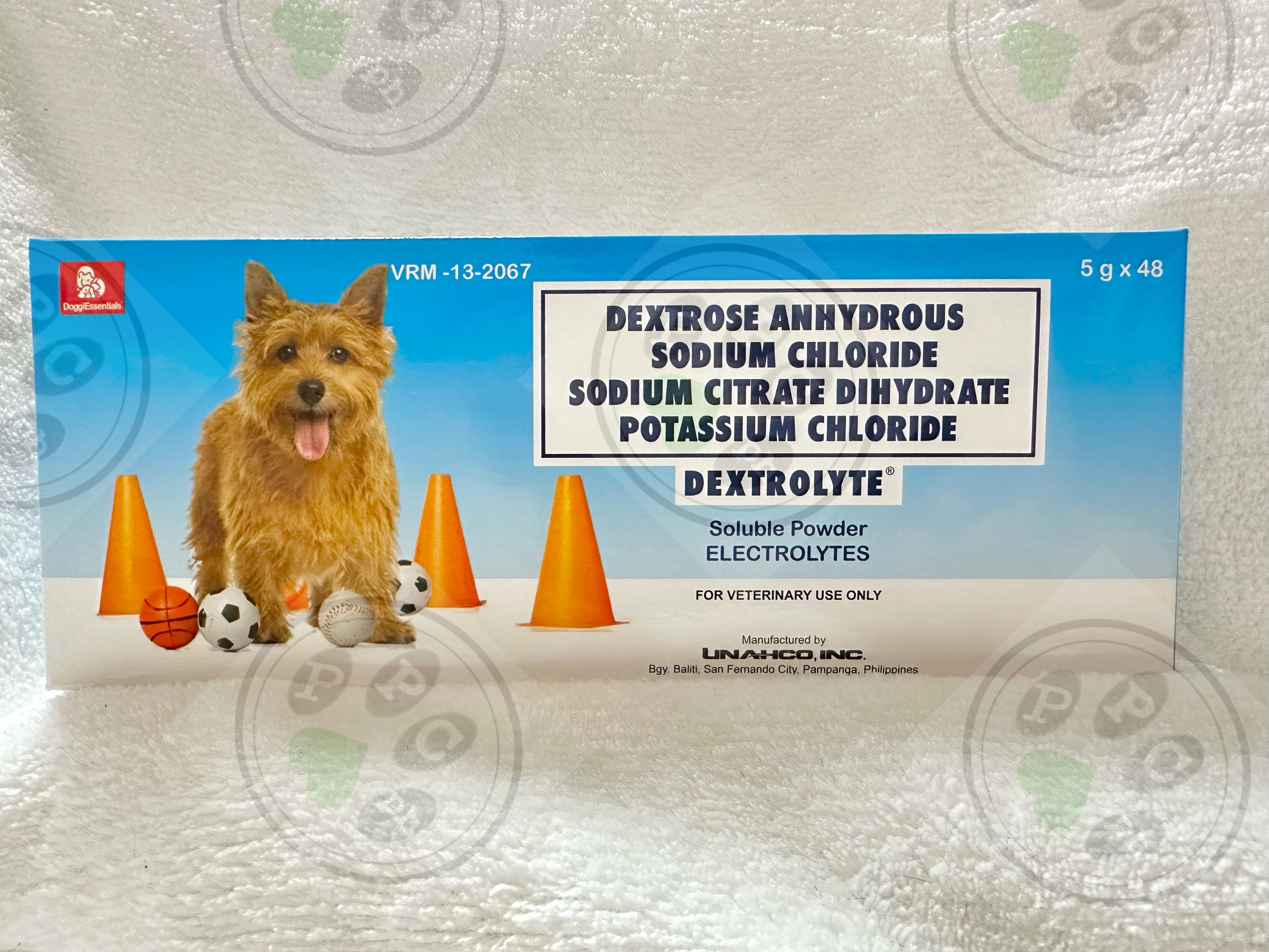 Dextrolyte Dextrose Powder for Pets per Box (5g x 48) 5G Dextrose