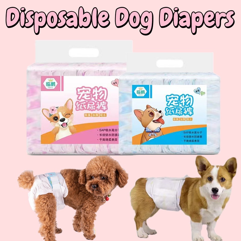 corgi diapers