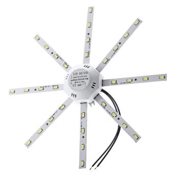 16W AC 220V LED Ceiling Lamp Octopus Light Energy Saving Long Life Expectancy Indoor Lighting COOL WHITE June 2018 - 2 16W AC 220V LED Ceiling Lamp Octopus Light Energy Saving Long Life Expectancy Indoor Lighting COOL WHITE - 2