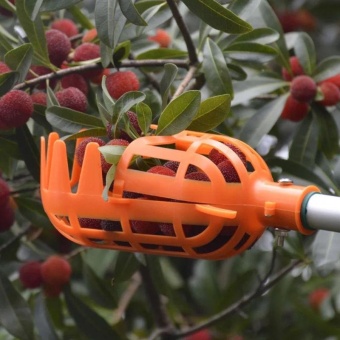 1Piece Gardening Picking Tools Plastic Fruits Picker Without Pole Fruits Catcher - Intl June 2018 - 2 1Piece Gardening Picking Tools Plastic Fruits Picker without Pole Fruits Catcher - intl - 2