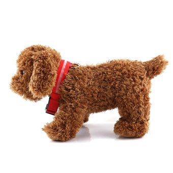 Adjustable USB Rechargeable LED Multicolor Pet Dog CollarFlashing(Red M) - Intl April 2018 - 2 Adjustable USB Rechargeable LED Multicolor Pet Dog CollarFlashing(Red M) - intl - 2