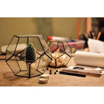 BolehDeals Irregular Glass Geometric Succulent Planter Vase Box Terrarium Container#11 - Intl June 2018 - 5 BolehDeals Irregular Glass Geometric Succulent Planter Vase Box Terrarium Container#11 - intl - 5