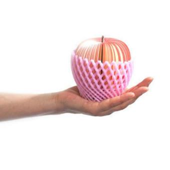 Heartree Lovely Fruit Note Paper Note Pads With Paperclip A21-24(apple) June 2018 - 3 Heartree Lovely Fruit Note Paper Note Pads with Paperclip a21-24(apple) - 3