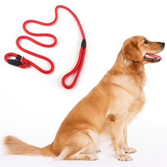 Hot Sale Rope Dog Whisperer Cesar Millan Style Slip Training Leashlead Collar (Intl) June 2018 - 4 Hot sale Rope Dog whisperer Cesar Millan style Slip Training leashlead collar (Intl) - 4