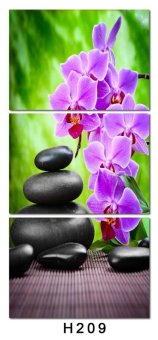 Luxry 3 Panel Modern Abstract Flower Painting On Canvas Wall ArtCuadros Orchid Flowers Picture Home Decor For Living Room No Fr(Noframe) June 2018 - 2 Luxry 3 Panel Modern Abstract Flower Painting On Canvas Wall ArtCuadros orchid Flowers Picture Home Decor For Living Room No Fr(Noframe) - 2