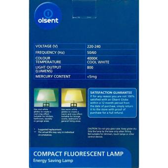Olsent Compact Fluorescent Lamp June 2018 - 2 Olsent Compact Fluorescent Lamp - 2